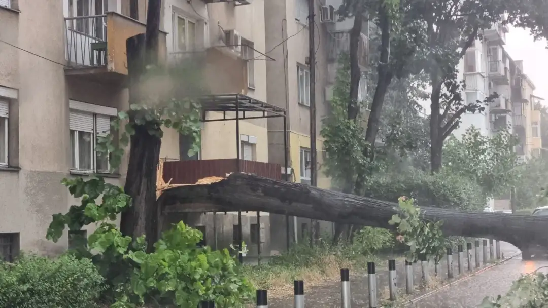 Во ЦУК пријавено е дека се поплавени неколку подрумски простории на ул. „Јордан Мијалков“, спроти зградата на „Лимак“, две куќи поплавени во населба „Драчево“ на ул. „Славка Динкова“, големо 