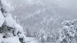 Снегот кој го зафати северниот и североисточниот дел на Албанија ги создаде и првите проблеми, посебно во руралните средини. Во областа Голо Брдо отежнато е движењето по лошата патна инфрастр