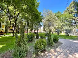 Општина Карпош информира дека се засадени 72 нови украсни растенија во маалскиот парк во урбаната заедница „Владо Тасевски“ спроти хотел „Карпош“.