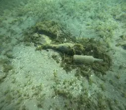 Акција амфора