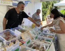 ЛАГ Експо 2023 1