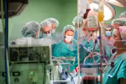 За трансплантација на бубрези чекаат 140 пациенти во земјава, околу 15 за трансплантација на срце и околу 14 за црн дроб. Надлежните велат медицински персонал има, но, потребно е да се едуцир