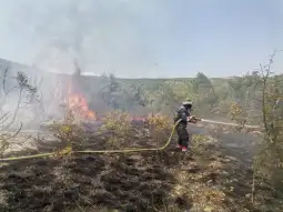 Një helikopter operon në zjarrin afër fshatit të Negotinës, Pepelishtë, vija e frontit të zjarrit është më e gjatë se një kilometër, informuan pasdite nga QMK. Bëhet fjalë për zjarrin që ka s