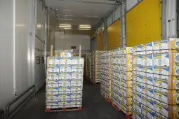 Кокаин во банани