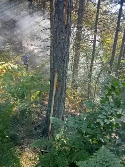 Изгаснат пожарот кај делчевско Стар Истевник, на границата со Бугарија