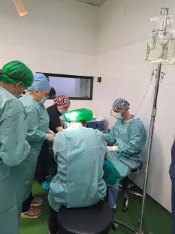 Трансплантација на органи од починат донор