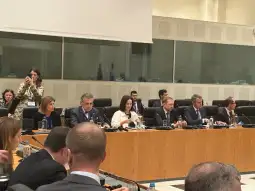 Сања Божиновска Атина