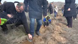 засадување