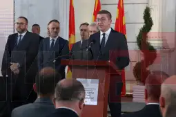 Мицкоски една година Влада