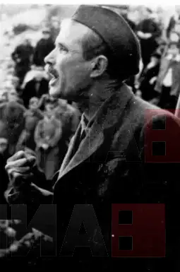 Панко Брашнаров