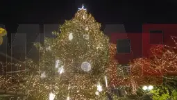 новогодишна елка атина