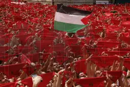 Памплона бикови