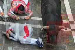 Памплона бикови