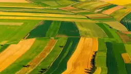 Просечната цена на еден хектар обработливо земјиште во ЕУ во 2022 година изнесувала 10.578 евра, што ја прави 45 пати повисока од просечната годишна рента за изнајмување на плодни површини, к