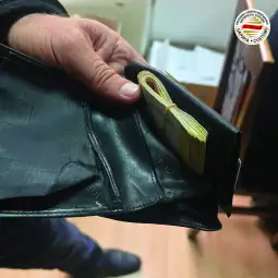 Царина заплена