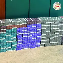 Царина заплена