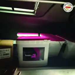 Царина заплена