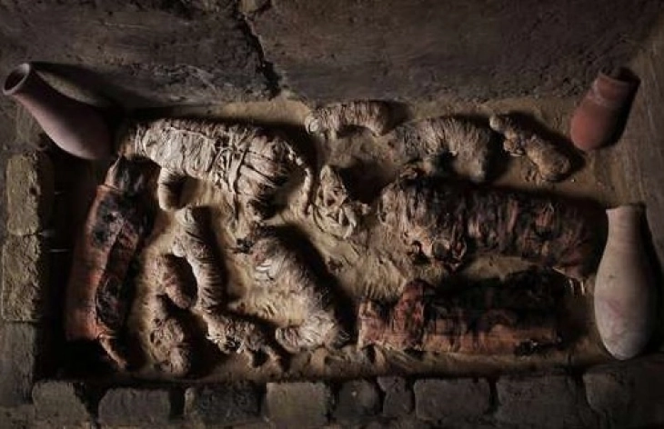 Научници го пресоздадоа гласот на древна мумија