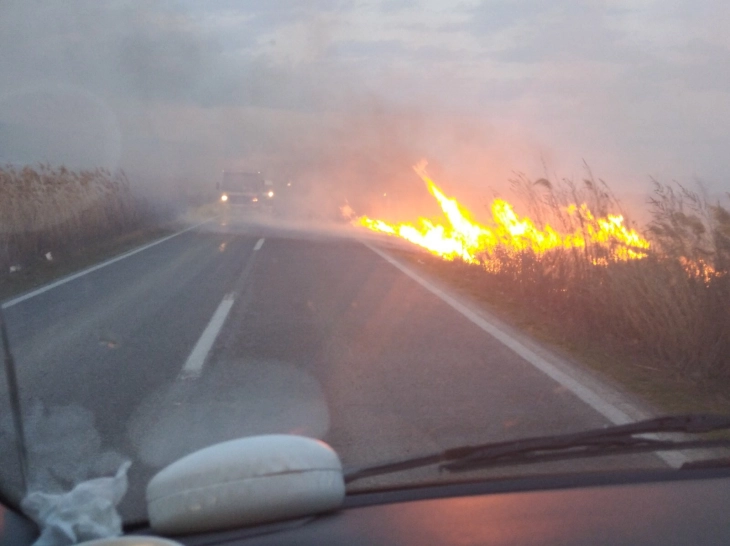 Пожарникарите од Кочани цел ноќ гасеа пожари во полскиот регион