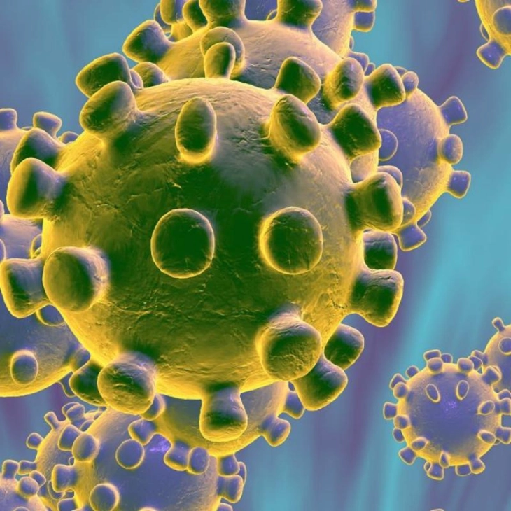 Неодговорноста најопасна за ширење на коронавирусот, да нема хајки и политичко профитерство, порачува Владата