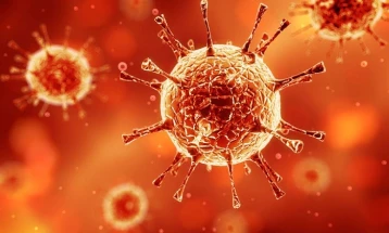Два случаја на коронавирус во Франција - први потврдени во Европа
