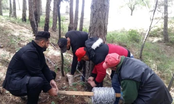 Акција за чистење на муслиманските гробишта во Пехчево