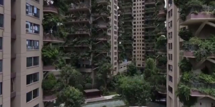Еколошките згради во Кина привлекуваат комарци и ги бркаат станарите