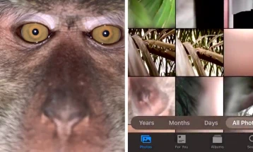 Мајмун украл телефон и си правел „селфи“