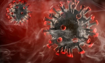 Во светот од коронавирус инфицирани над 75 милиони лица