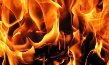 Пет лица загинаа во пожар во дрвена колиба во Норвешка, од нив четири деца