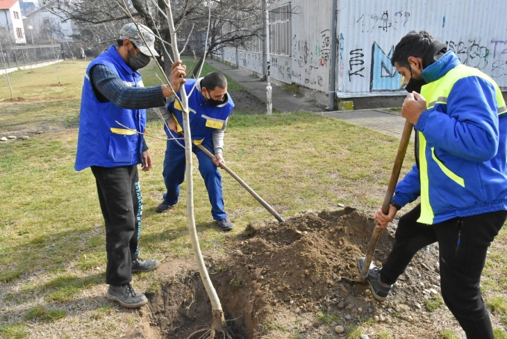 Засадени нови 60 ореви во Карпош