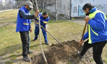 Засадени нови 60 ореви во Карпош