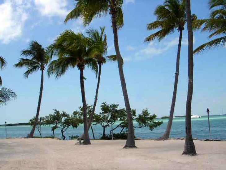 Тројца Кубанци преживеале 33 дена на ненаселен остров близу Флорида