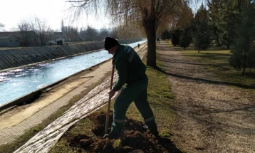 Акција за садење листопадни и зимзелени садници на градскиот кеј во Куманово