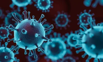 Истражување: Британскиот сој на коронавирусот предизвикува поголема смртност