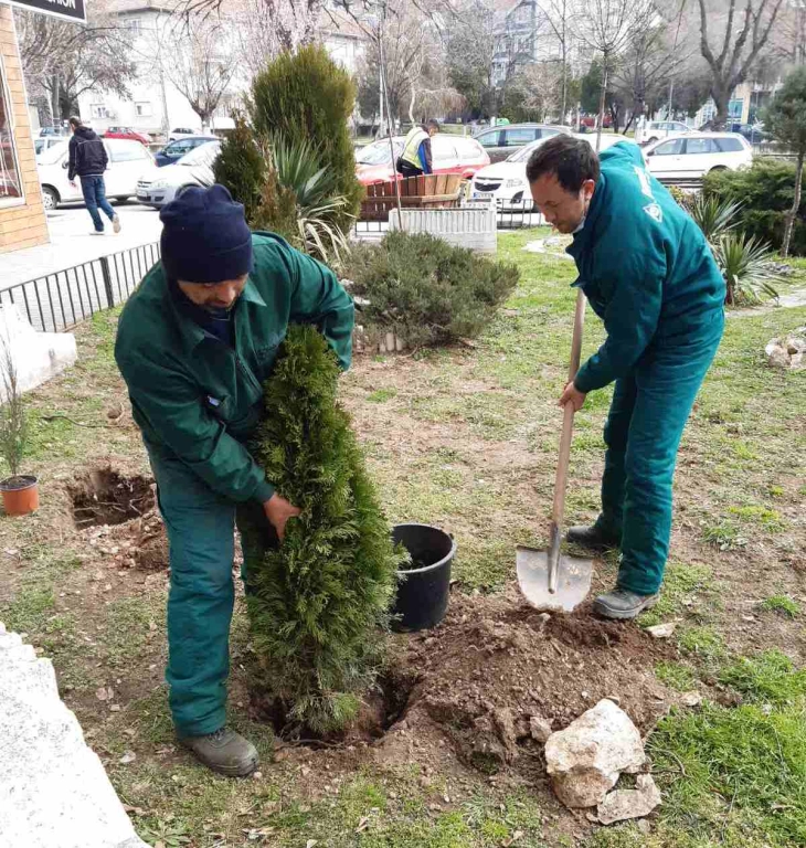 Почна пролетното озеленување на јавните површини во Кочани