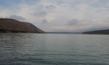 Истрага за загадувањето и угинувањето на жив свет во Дебарското Езеро