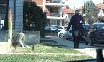 Во Пехчево од утре ќе се заловуваат кучињата скитници