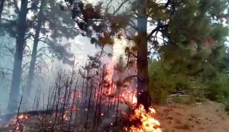 Шумски пожар над село Галичник, Армијата ќе дејствува со хеликотер за заштита на селото