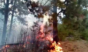 Шумски пожар над село Галичник, Армијата ќе дејствува со хеликотер за заштита на селото