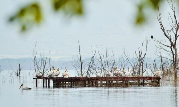 Врачување на договорот за концесија за управување со водите на Преспанското Езеро