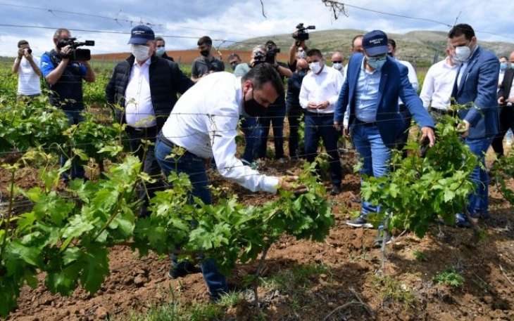 Владата е тука да помогне и годинава, рече Заев запрашан дали очекува мирен гроздобер