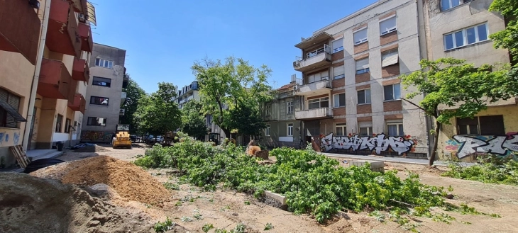 ДОМ: Зошто се сече дрворедот на Орце Николов?