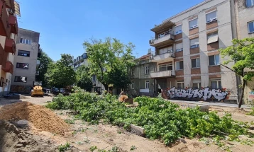 ДОМ: Зошто се сече дрворедот на Орце Николов?