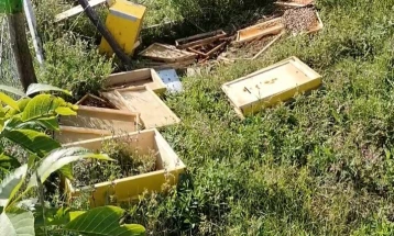 Мечка опустоши пчеларник во делчевското село Киселица