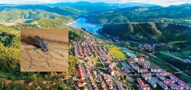 Во Македонска Каменица закажано првото авионско прскање против комарци
