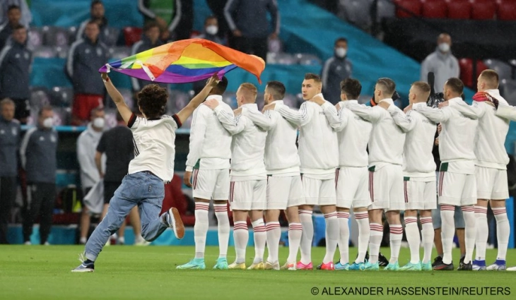 Навивач со знаме со боите на виножитото влезе на теренот за време на интонирање на химната на Унгарија пред натпреварот против Германија