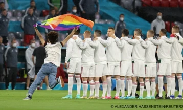Навивач со знаме со боите на виножитото влезе на теренот за време на интонирање на химната на Унгарија пред натпреварот против Германија
