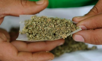 Кокаин, марихуана и семки канабис пронајдени во Струга