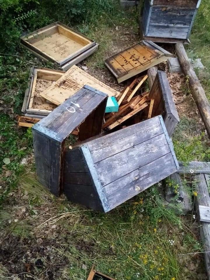Мечка прави големи штети врз пчеларници во неколку делчевски села